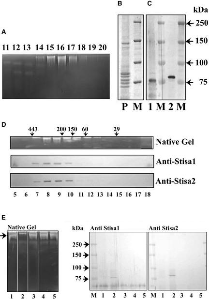 Figure 7.