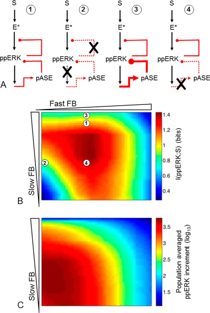 FIGURE 12.