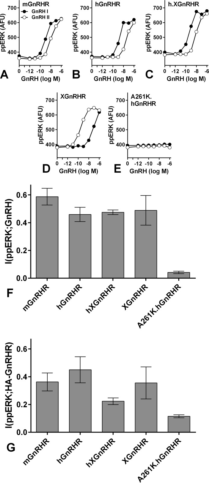 FIGURE 9.