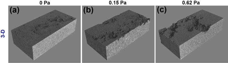 Fig. 10