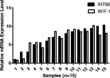 Fig. 9