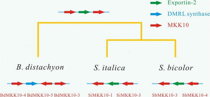Fig. 5