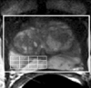 Figure 2b: