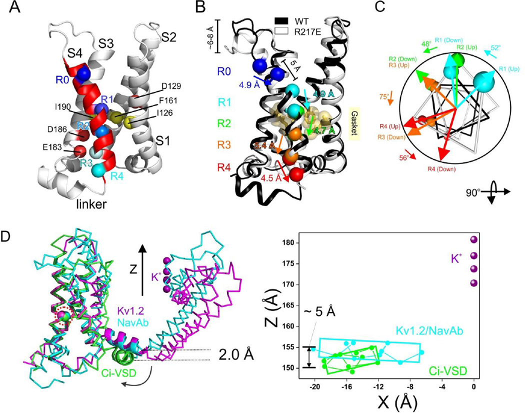 Figure 5