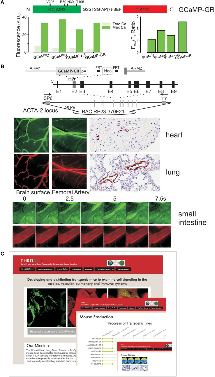 Figure 2