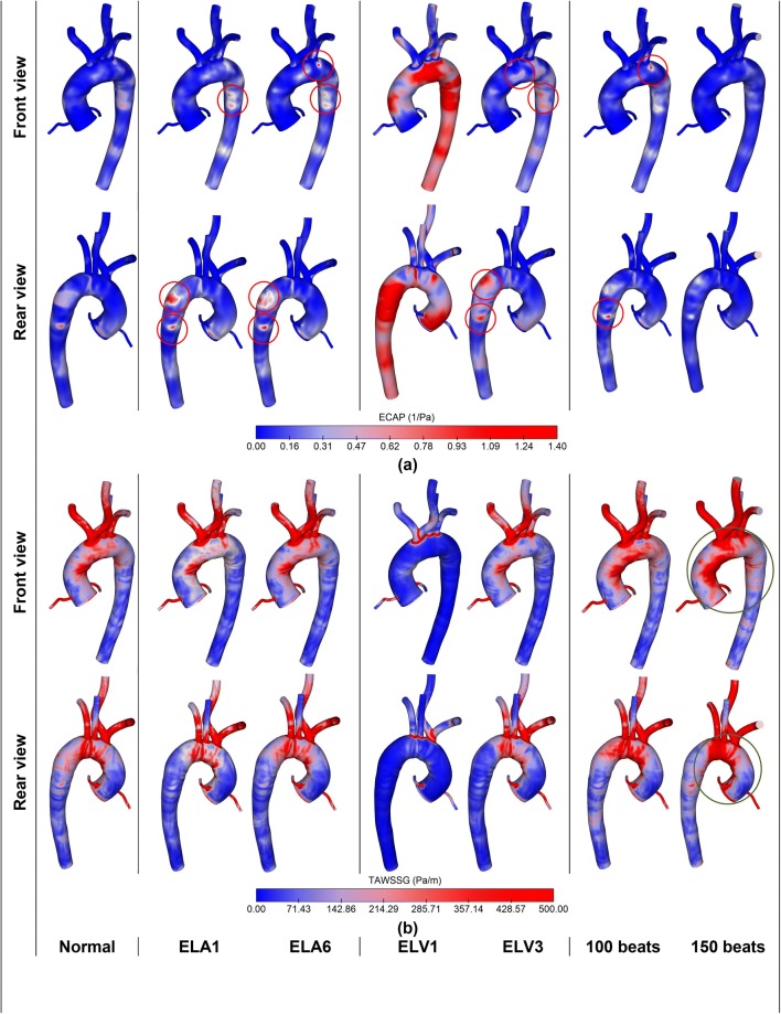 Figure 6