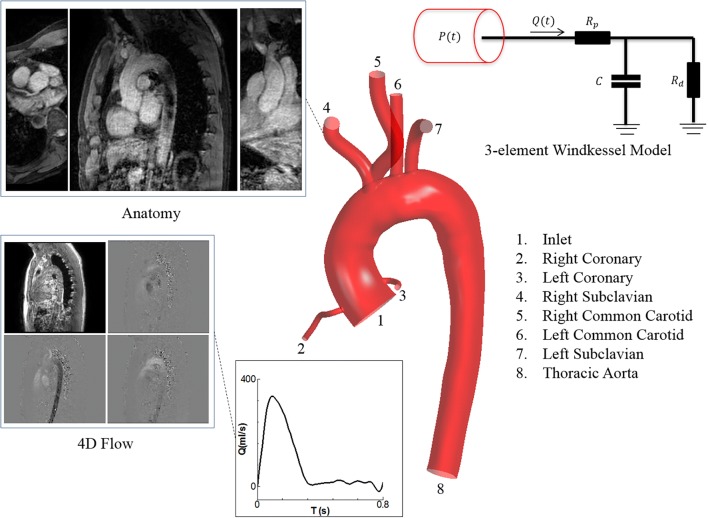 Figure 1