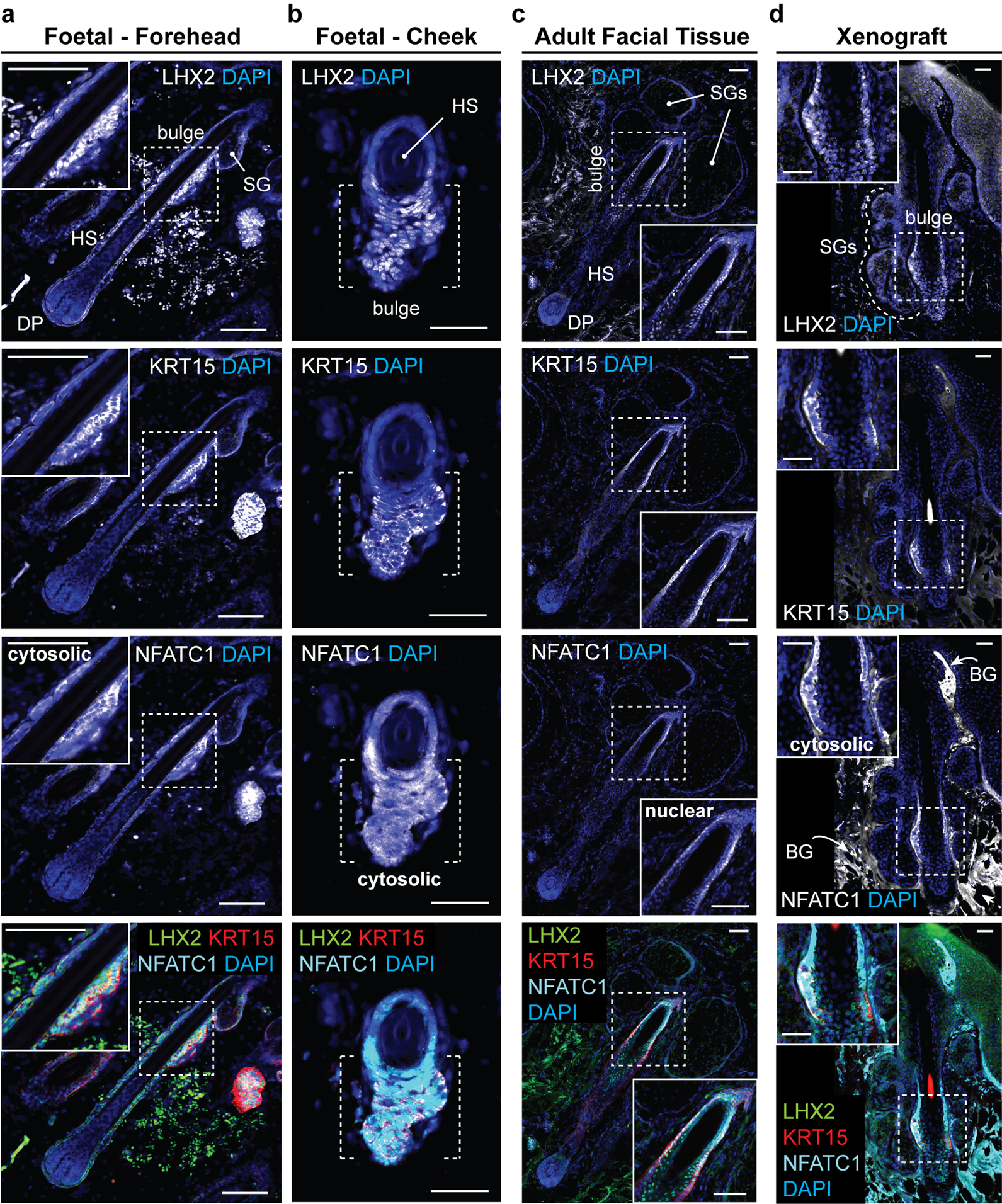 Extended Data Figure 10 |