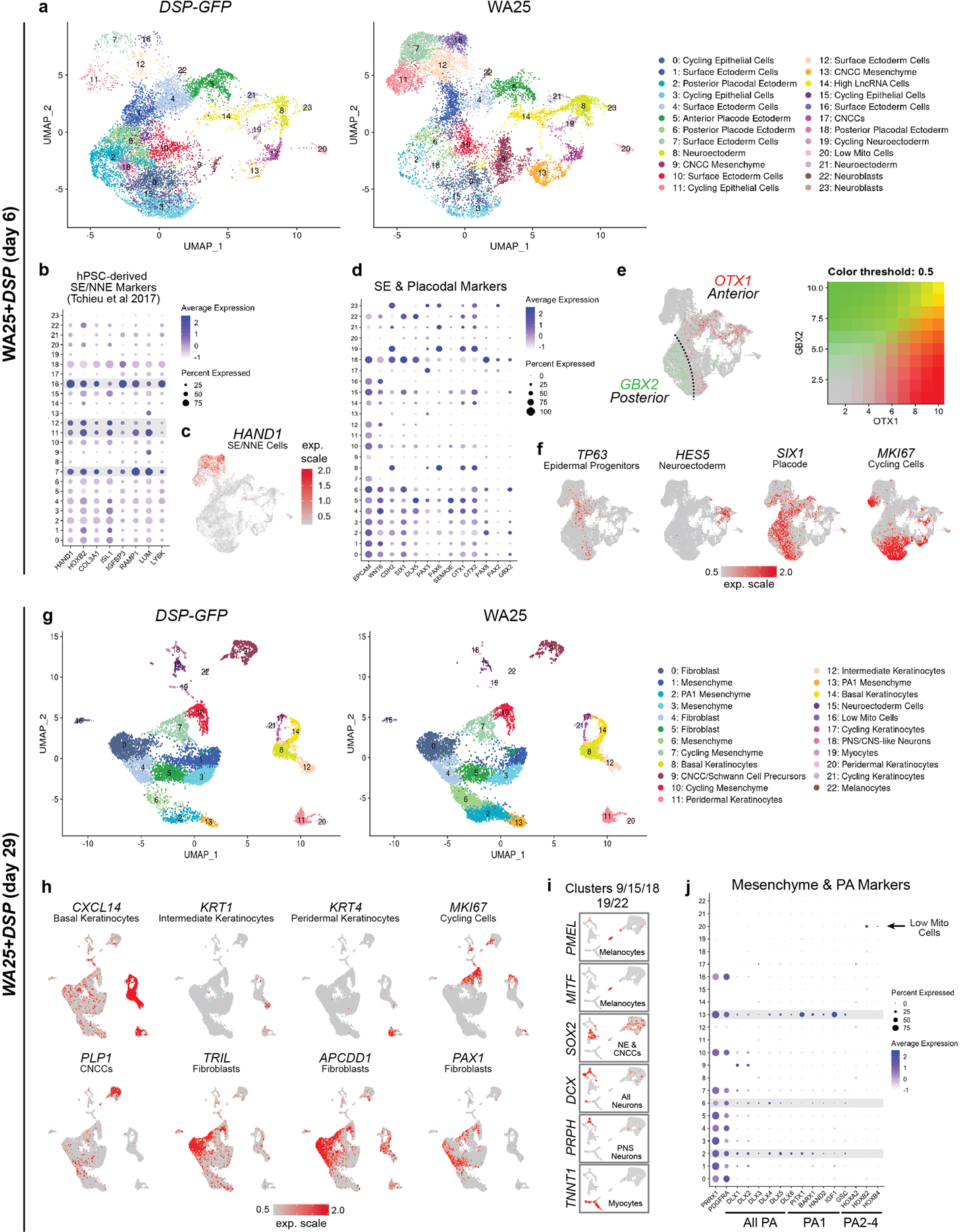 Extended Data Figure 5 |