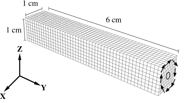 Figure 10: