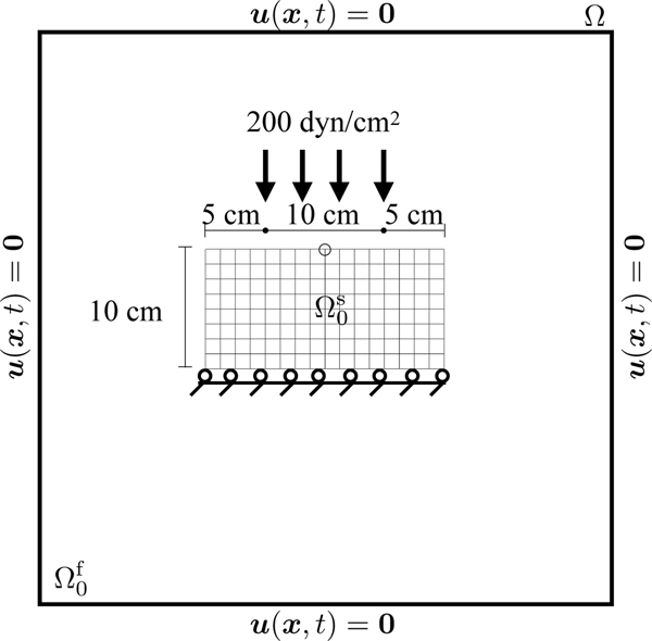 Figure 4: