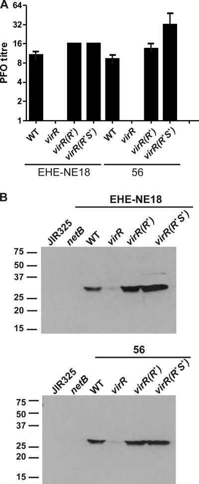 FIG. 4.