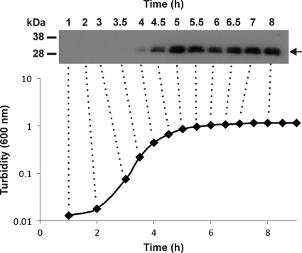 FIG. 3.