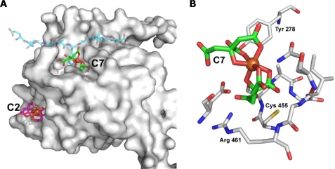 FIGURE 5.