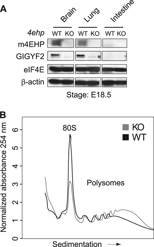 Fig 7