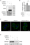 Fig.3