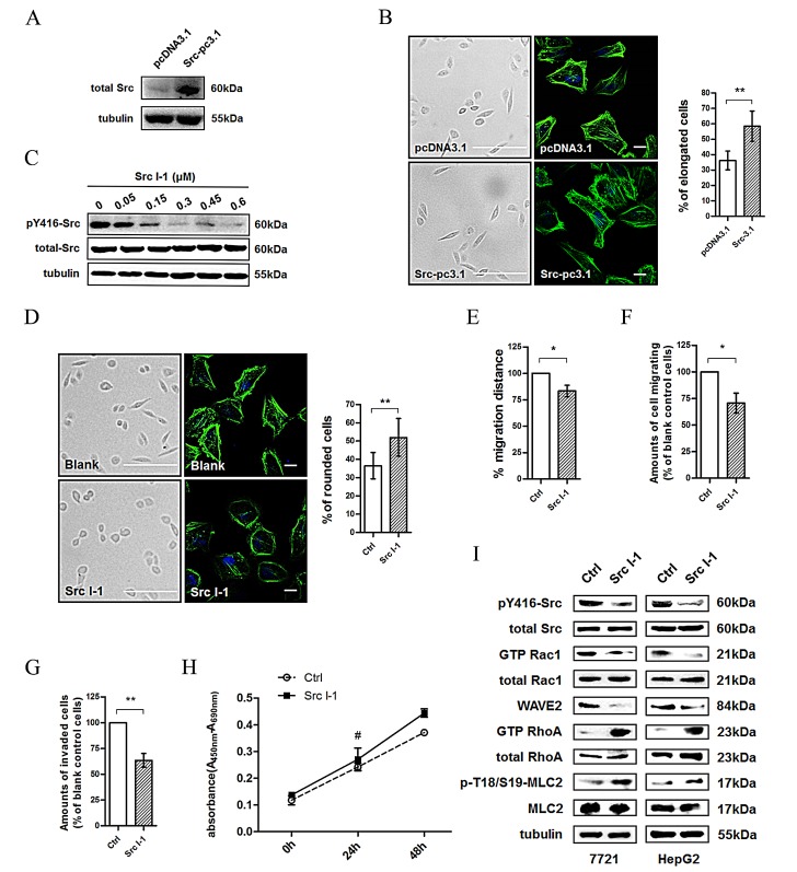 Fig.2