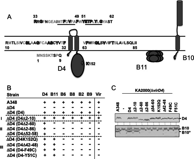 Fig 4