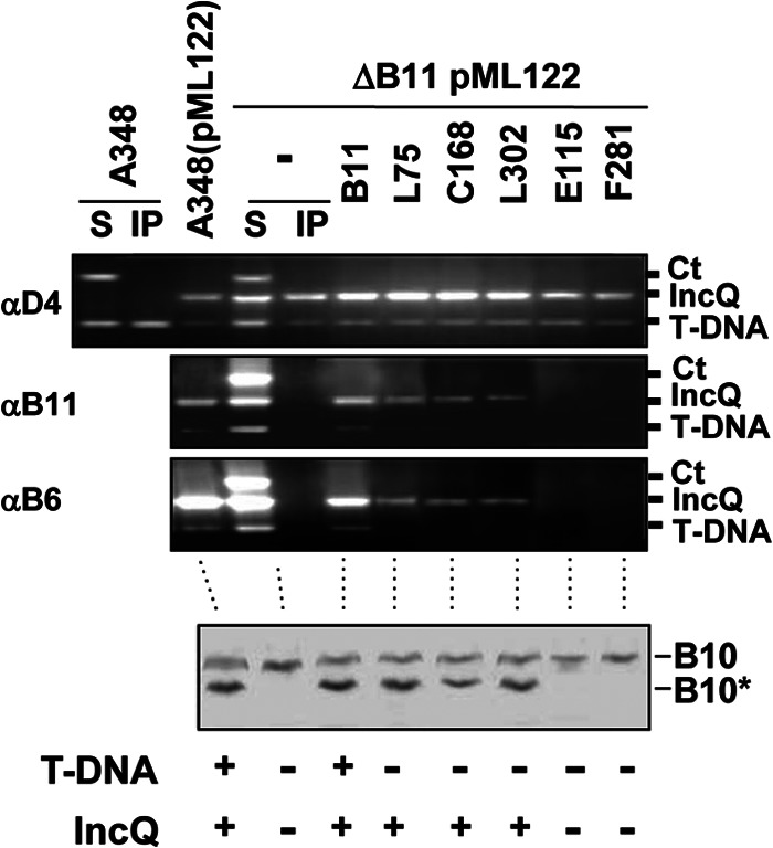 Fig 7