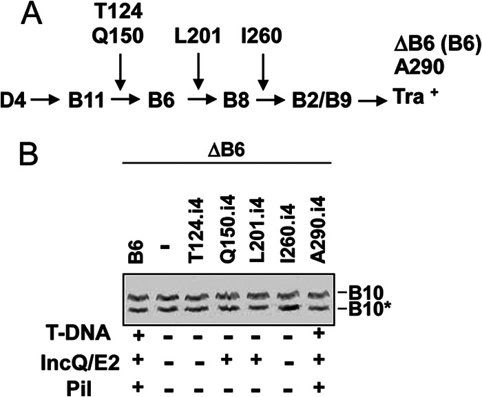 Fig 8