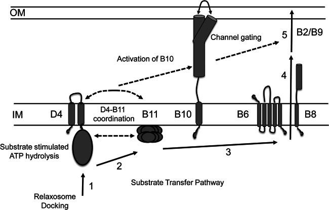 Fig 9