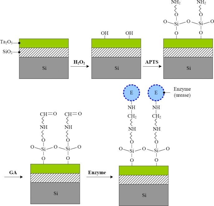 Figure 2.