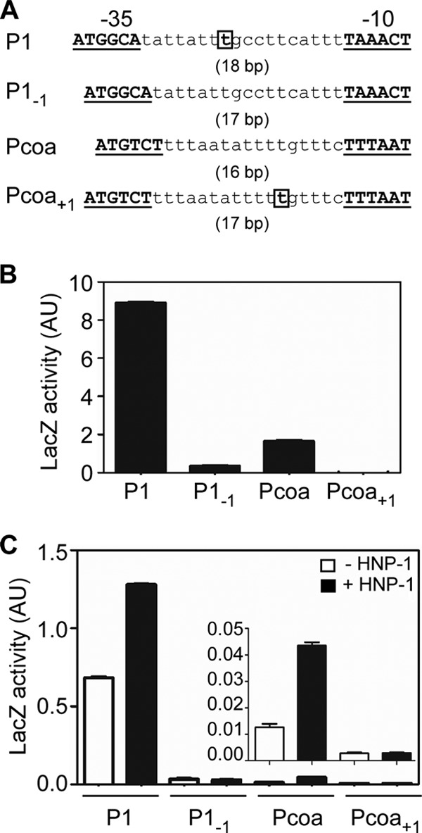 Fig 8