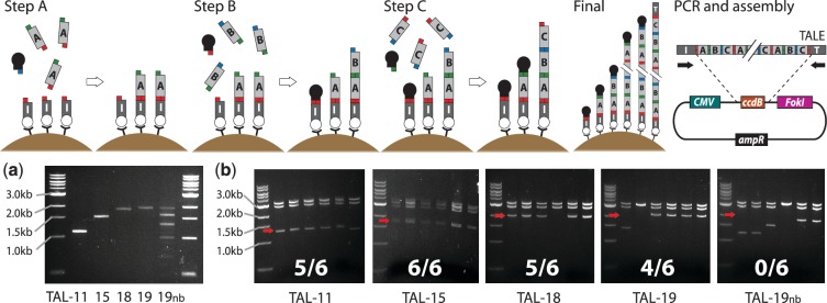 Figure 1.