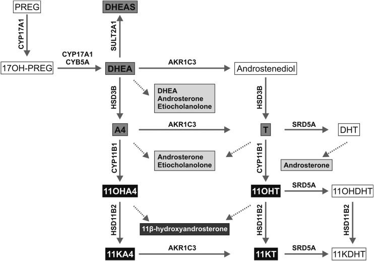 Figure 1.