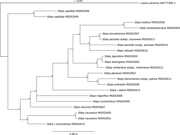 Figure 2