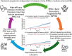 Graphical Abstract