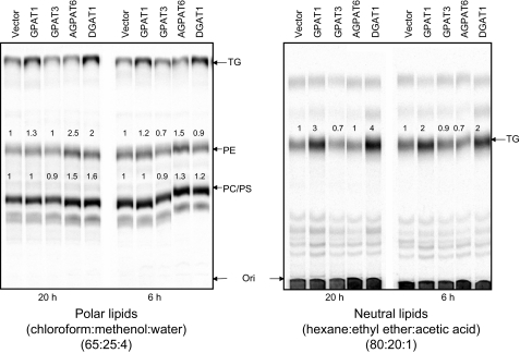 FIGURE 3.