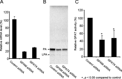 FIGURE 10.