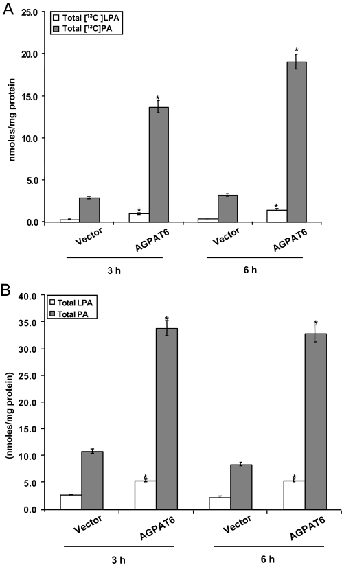 FIGURE 4.