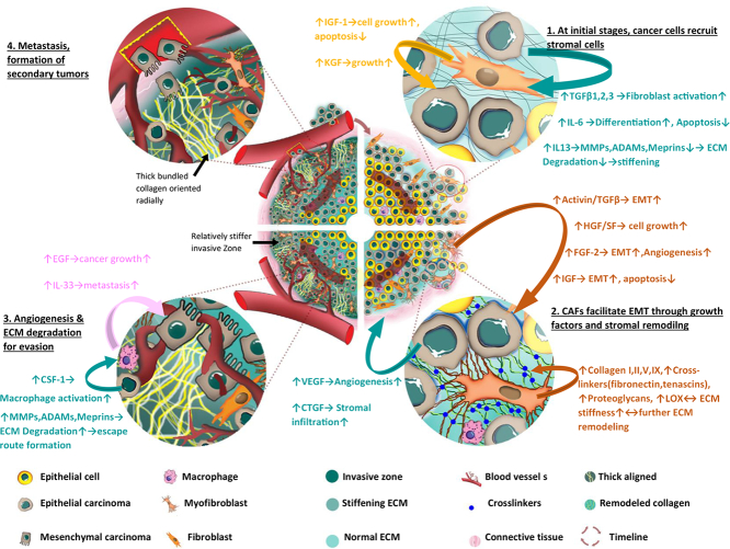 Unlabelled Image