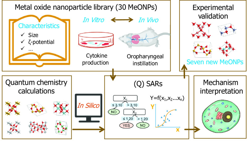 Figure 1 is a workflow diagram. Metal oxide nanoparticle library (30 MeONPs) includes characteristics like size and zeta potential, cytokine production (In vitro), and oropharyngeal instillation (In vivo). The in vitro and in vivo lead to each other. Metal oxide nanoparticle library (30 MeONPs) leads to (Q) SARs, comprising a tree diagram, where X subscript 1 leads to No and X subscript 2 by including less than or equal to 3.10 and greater than 3.10, respectively. X subscript 2 leads to yes and no by including less than or equal to 1.20 and greater than 1.20, respectively, and a graph, where Y equals f (x subscript 1, x subscript 2, to x subscript n). (Q) SARs leads to experimental validation, comprising seven new MeONPs and mechanism interpretation. Quantum chemistry calculations leads to (Q) SARs using In Silico.