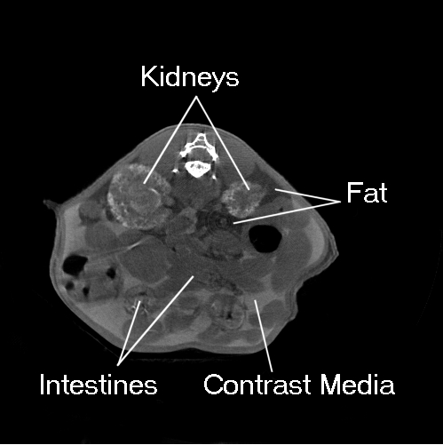 Figure 5