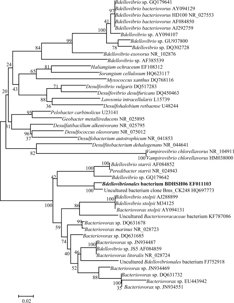 FIG 1