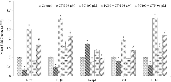 FIGURE 11