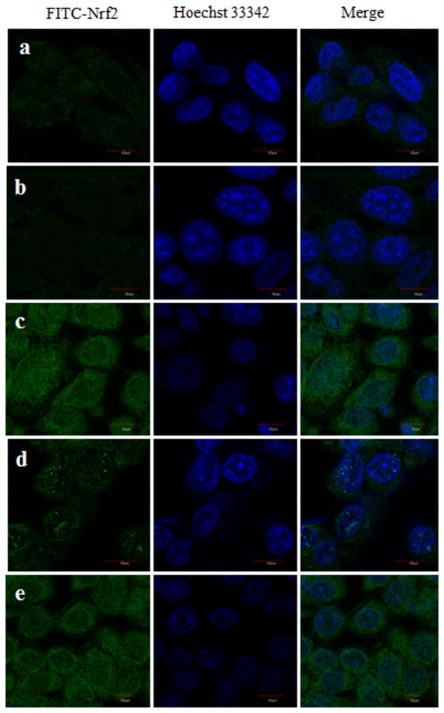 FIGURE 15