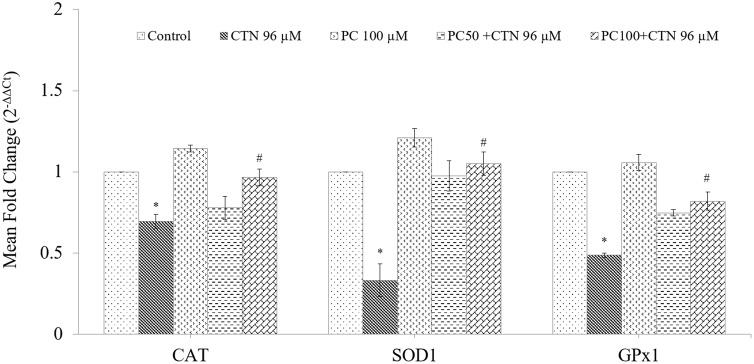 FIGURE 12