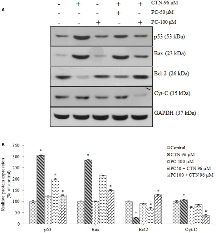 FIGURE 13