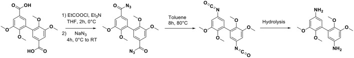 Scheme 2