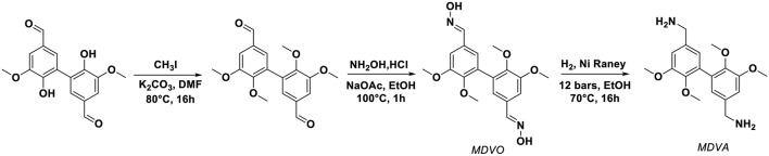 Scheme 1