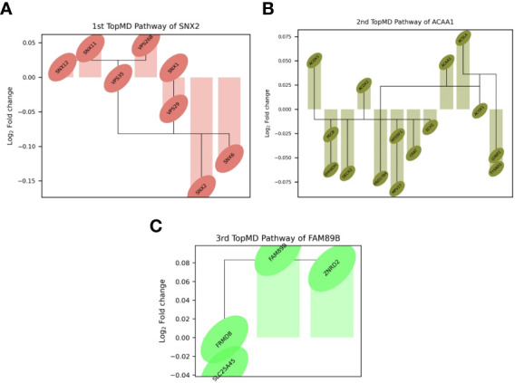 Figure 3