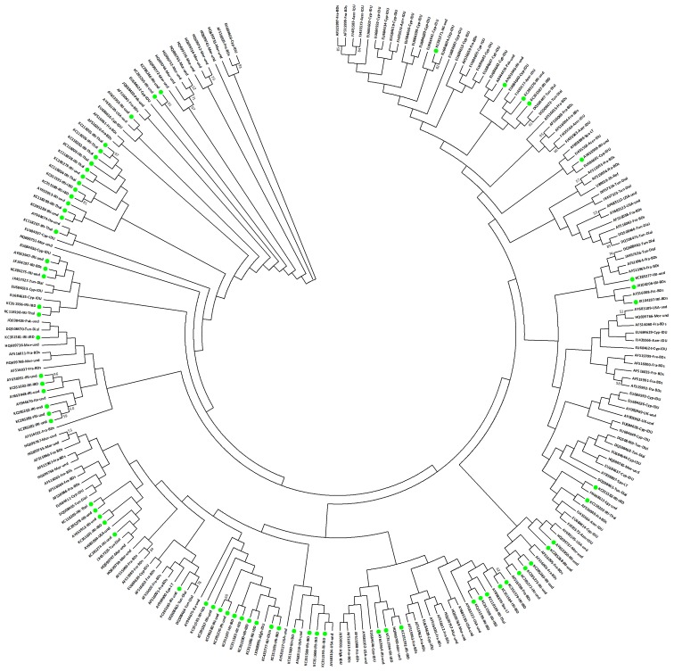 Figure 3.