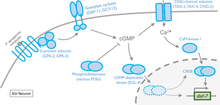 Fig 5