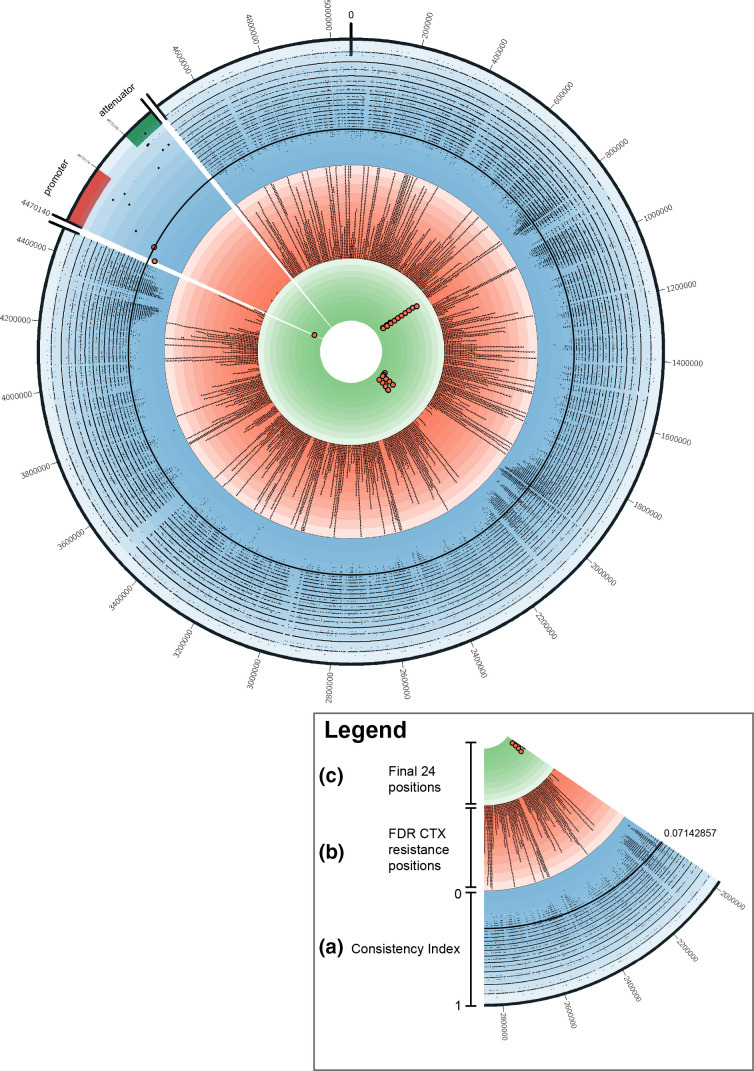 Fig. 4.