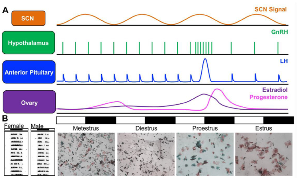 Figure 3.