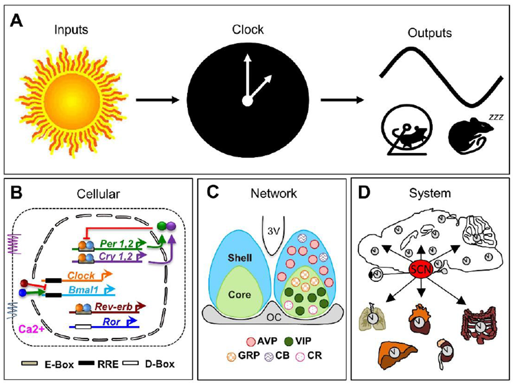 Figure 2.